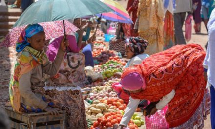 Ethiopia and Eritrea are back in business after border open