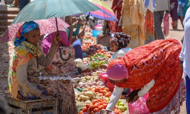 Ethiopia and Eritrea are back in business after border open